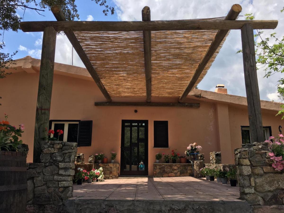 Azienda Agrituristica S'Argalasi - B&B - Affittacamere Loc S'Argalasi Austis Zewnętrze zdjęcie