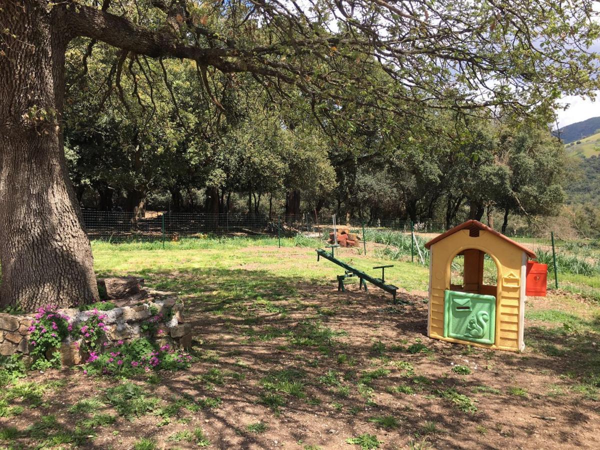 Azienda Agrituristica S'Argalasi - B&B - Affittacamere Loc S'Argalasi Austis Zewnętrze zdjęcie