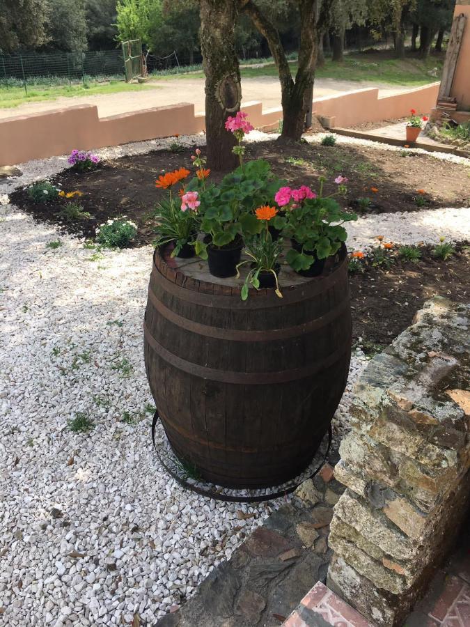 Azienda Agrituristica S'Argalasi - B&B - Affittacamere Loc S'Argalasi Austis Zewnętrze zdjęcie
