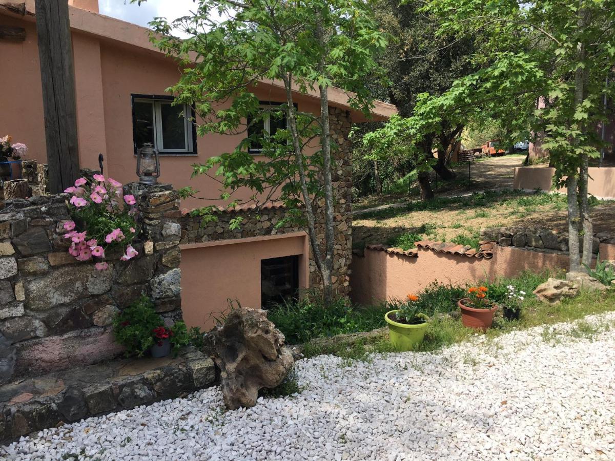 Azienda Agrituristica S'Argalasi - B&B - Affittacamere Loc S'Argalasi Austis Zewnętrze zdjęcie
