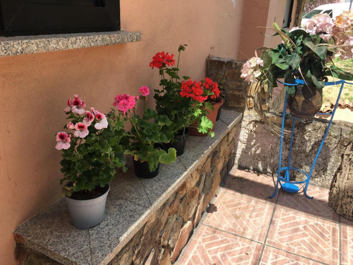 Azienda Agrituristica S'Argalasi - B&B - Affittacamere Loc S'Argalasi Austis Zewnętrze zdjęcie