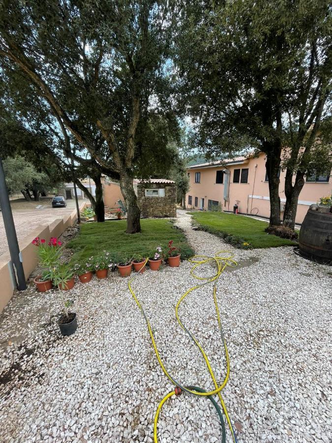 Azienda Agrituristica S'Argalasi - B&B - Affittacamere Loc S'Argalasi Austis Zewnętrze zdjęcie